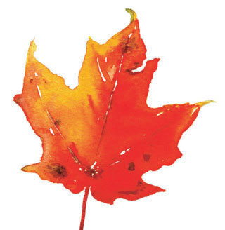 Nirvana Canada